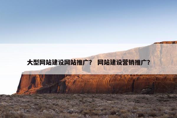 大型网站建设网站推广？ 网站建设营销推广？