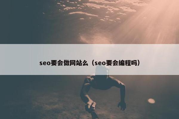 seo要会做网站么（seo要会编程吗）