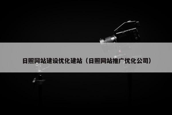 日照网站建设优化建站（日照网站推广优化公司）