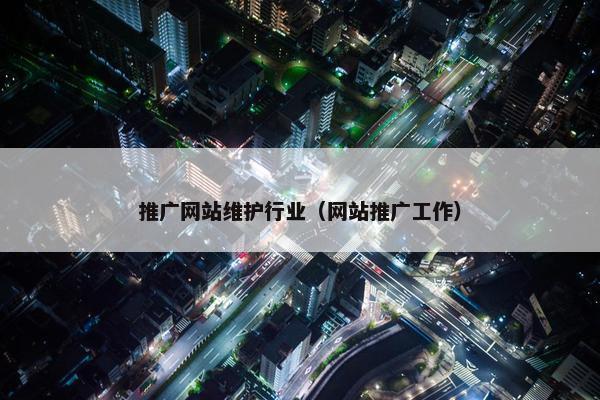 推广网站维护行业（网站推广工作）
