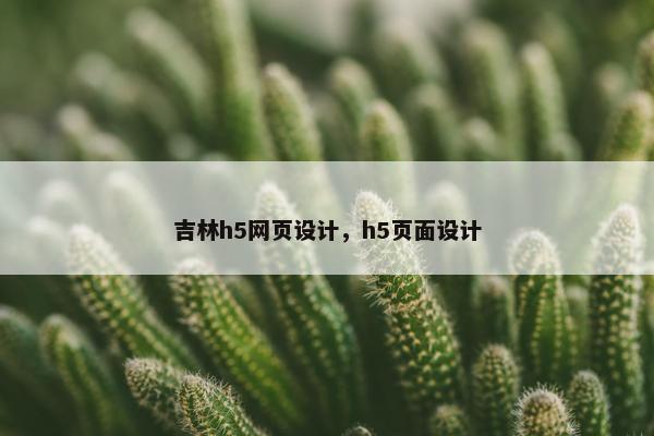 吉林h5网页设计，h5页面设计