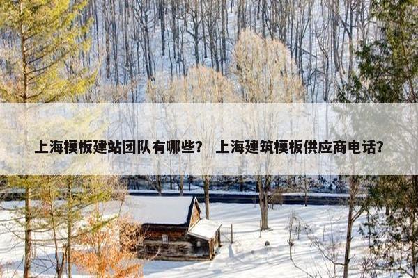 上海模板建站团队有哪些？ 上海建筑模板供应商电话？