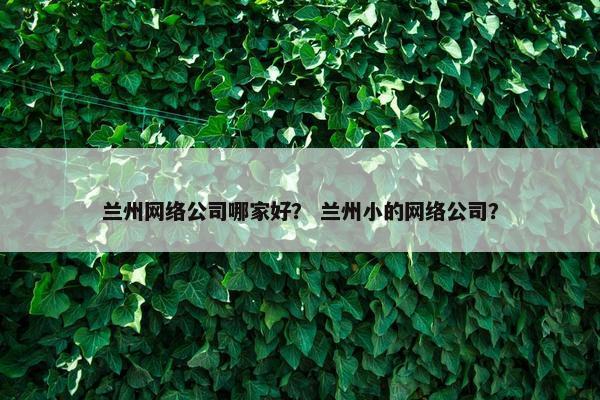兰州网络公司哪家好？ 兰州小的网络公司？