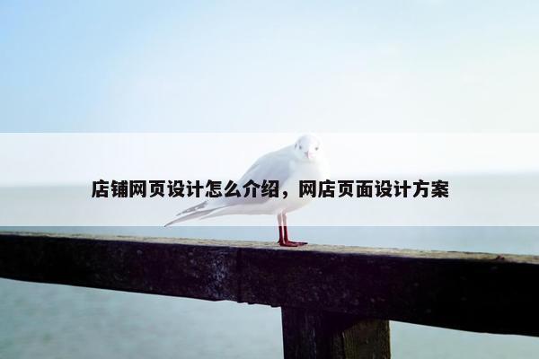 店铺网页设计怎么介绍，网店页面设计方案
