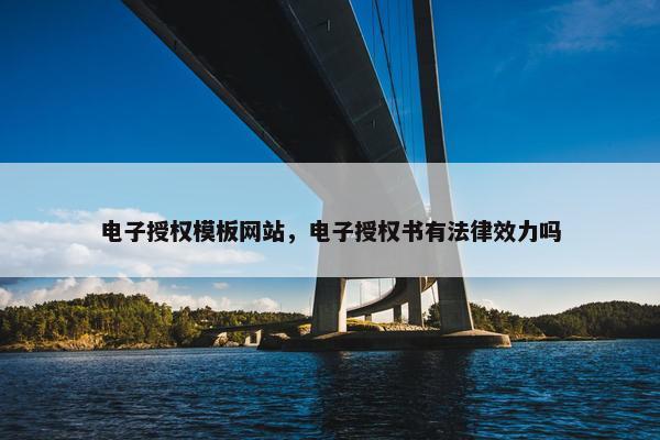 电子授权模板网站，电子授权书有法律效力吗
