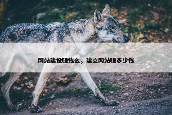 网站建设赚钱么，建立网站赚多少钱