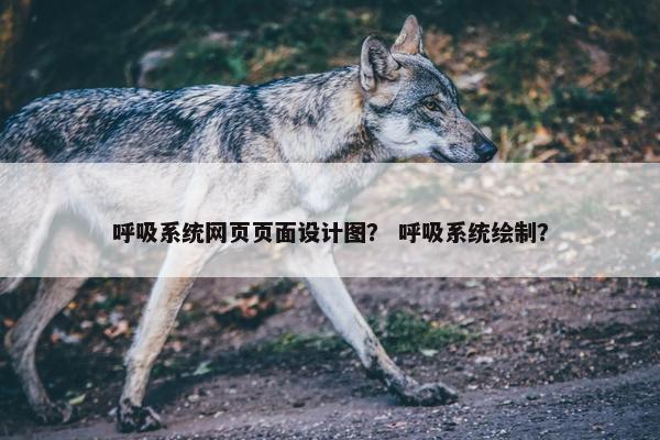 呼吸系统网页页面设计图？ 呼吸系统绘制？