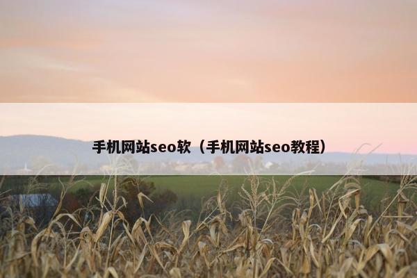 手机网站seo软（手机网站seo教程）