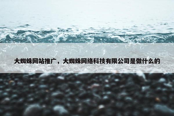 大蜘蛛网站推广，大蜘蛛网络科技有限公司是做什么的