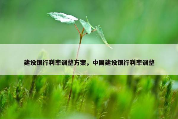 建设银行利率调整方案，中国建设银行利率调整