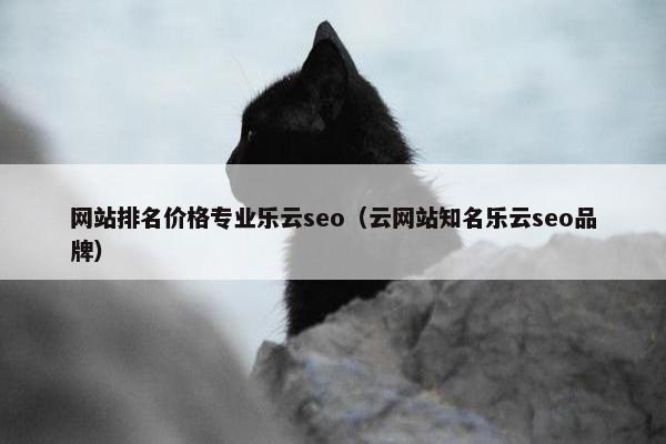 网站排名价格专业乐云seo（云网站知名乐云seo品牌）
