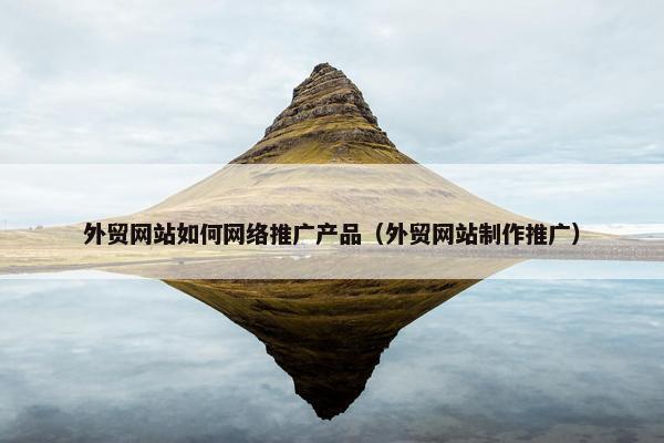 外贸网站如何网络推广产品（外贸网站制作推广）