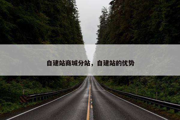自建站商城分站，自建站的优势