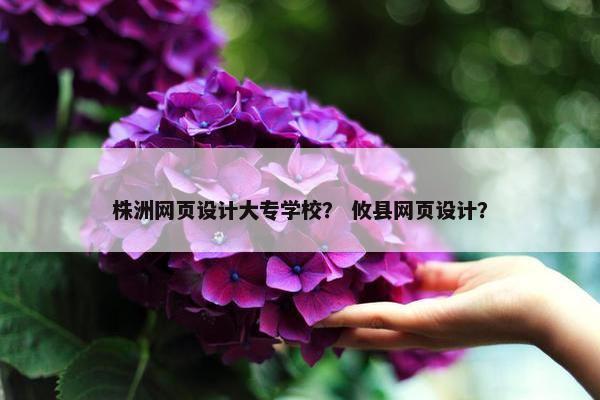 株洲网页设计大专学校？ 攸县网页设计？