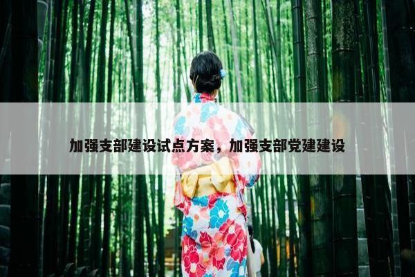 加强支部建设试点方案，加强支部党建建设