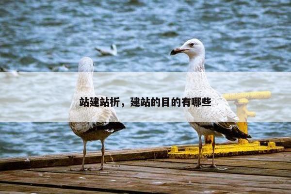 站建站析，建站的目的有哪些