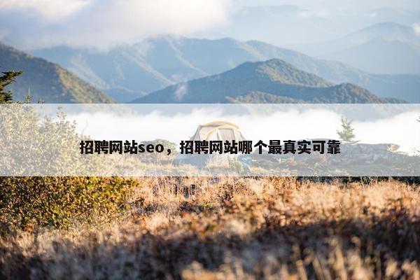 招聘网站seo，招聘网站哪个最真实可靠