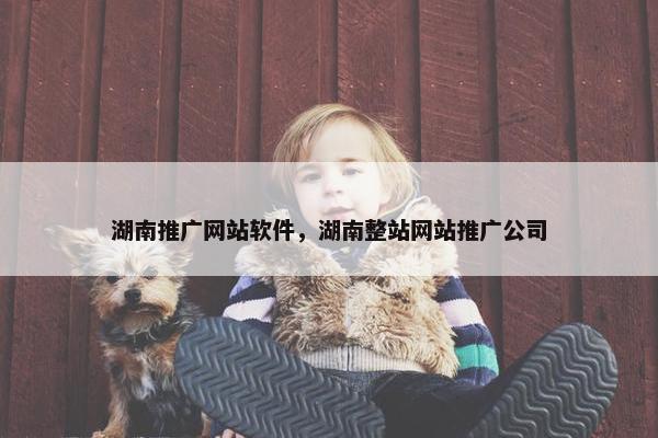 湖南推广网站软件，湖南整站网站推广公司