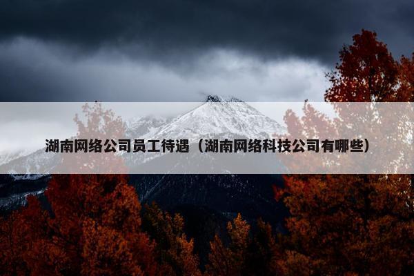 湖南网络公司员工待遇（湖南网络科技公司有哪些）