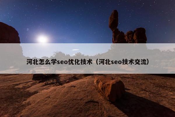 河北怎么学seo优化技术（河北seo技术交流）