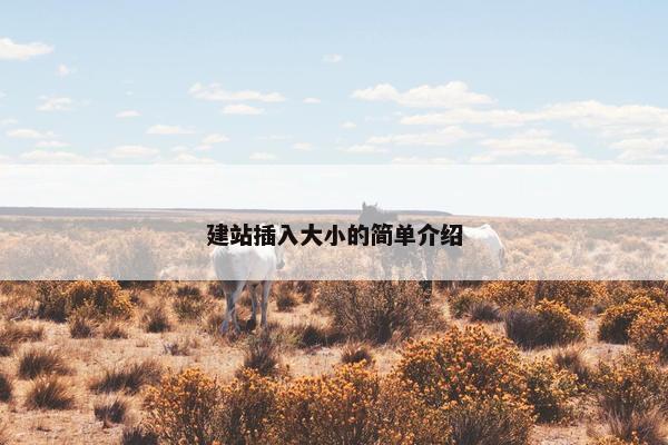 建站插入大小的简单介绍