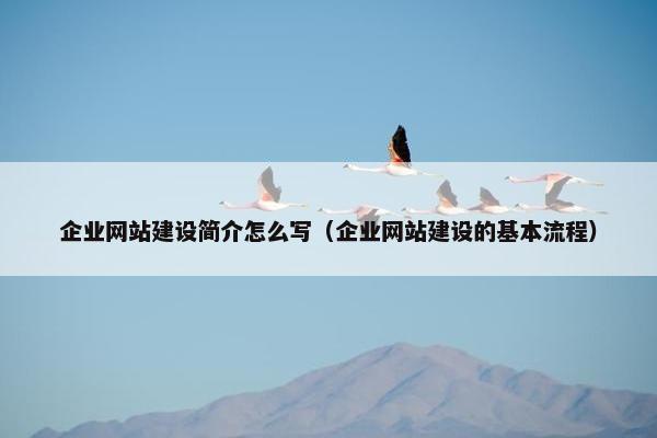 企业网站建设简介怎么写（企业网站建设的基本流程）