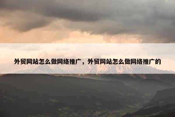 外贸网站怎么做网络推广，外贸网站怎么做网络推广的