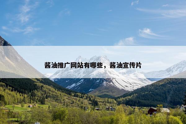 酱油推广网站有哪些，酱油宣传片