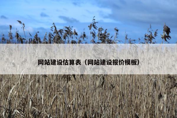 网站建设估算表（网站建设报价模板）