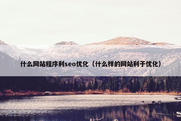 什么网站程序利seo优化（什么样的网站利于优化）