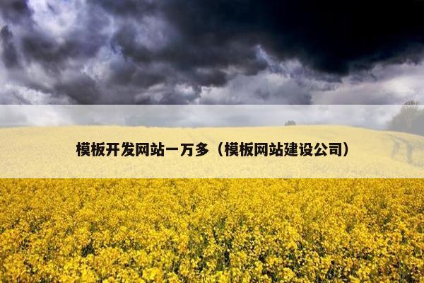 模板开发网站一万多（模板网站建设公司）