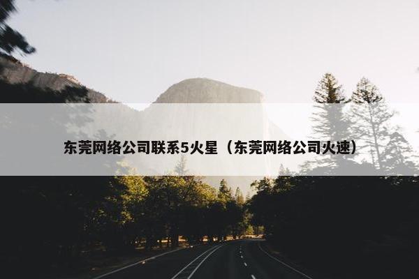 东莞网络公司联系5火星（东莞网络公司火速）