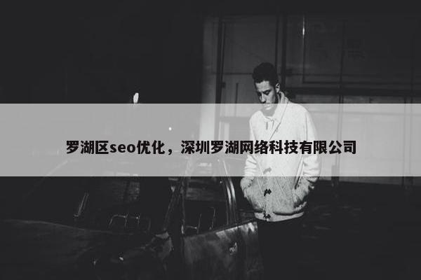 罗湖区seo优化，深圳罗湖网络科技有限公司