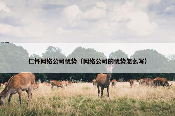 仁怀网络公司优势（网络公司的优势怎么写）