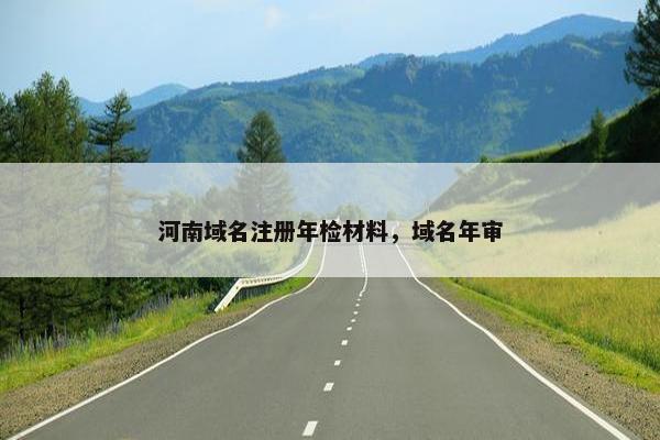 河南域名注册年检材料，域名年审