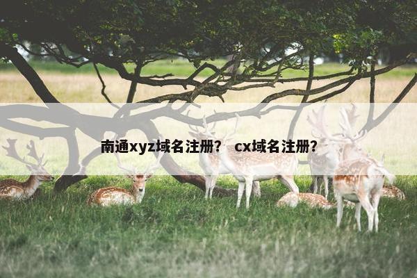 南通xyz域名注册？ cx域名注册？