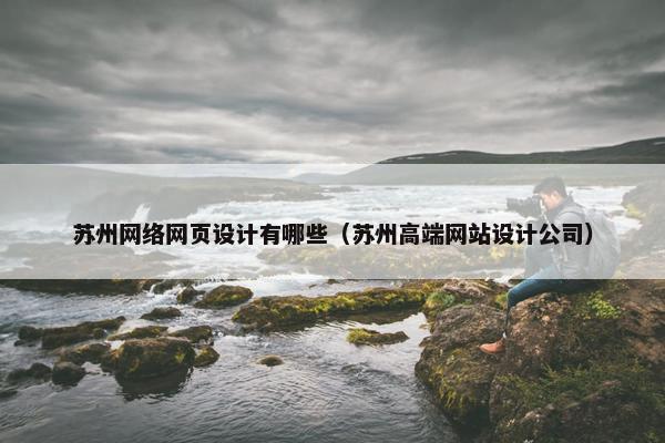 苏州网络网页设计有哪些（苏州高端网站设计公司）