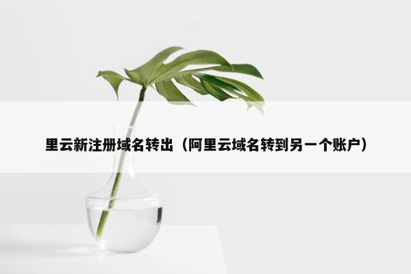 里云新注册域名转出（阿里云域名转到另一个账户）