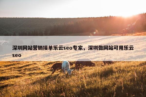 深圳网站营销接单乐云seo专家，深圳做网站可用乐云seo