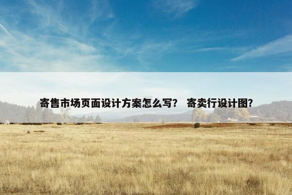 寄售市场页面设计方案怎么写？ 寄卖行设计图？