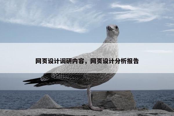网页设计调研内容，网页设计分析报告