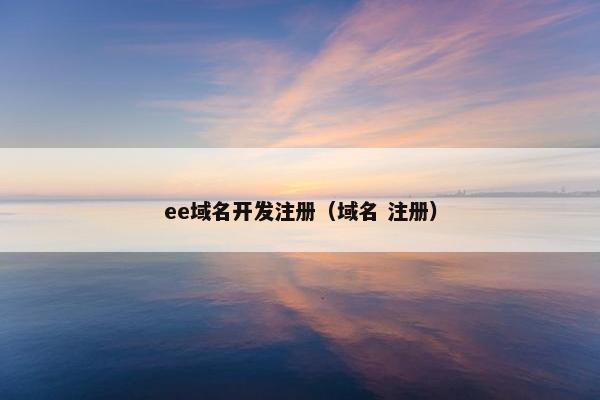 ee域名开发注册（域名 注册）