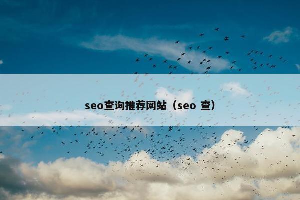 seo查询推荐网站（seo 查）