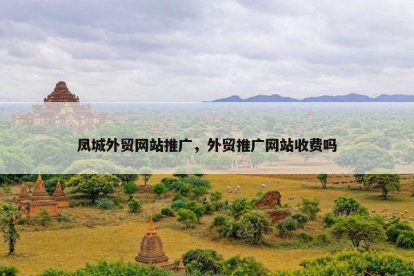 凤城外贸网站推广，外贸推广网站收费吗