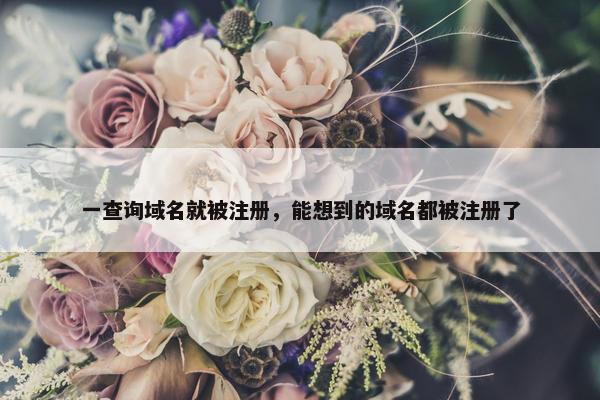 一查询域名就被注册，能想到的域名都被注册了