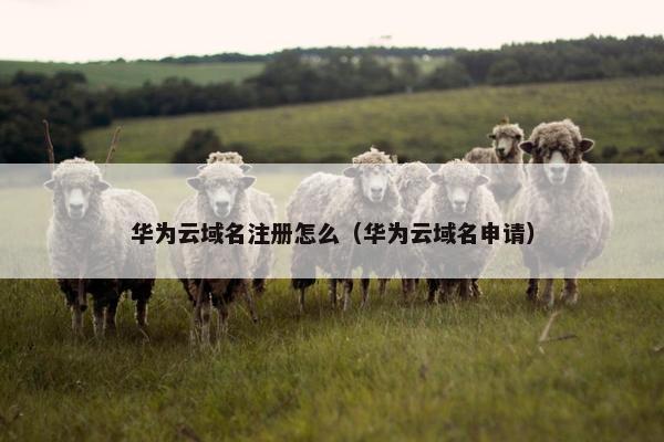 华为云域名注册怎么（华为云域名申请）