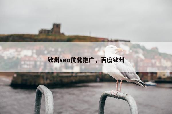 钦州seo优化推广，百度钦州