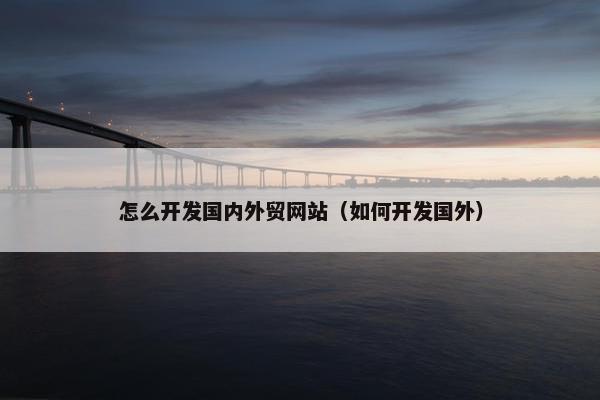 怎么开发国内外贸网站（如何开发国外）