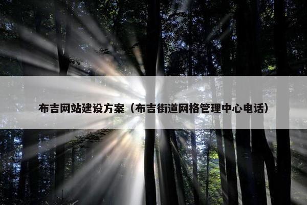 布吉网站建设方案（布吉街道网格管理中心电话）
