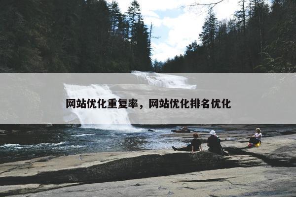 网站优化重复率，网站优化排名优化